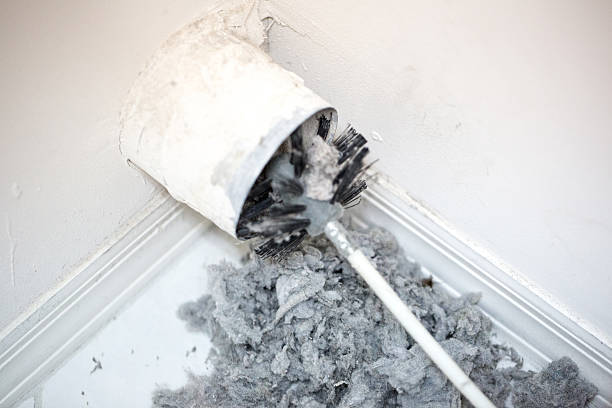Best Local Air Duct Cleaning Services  in Bay City, MI